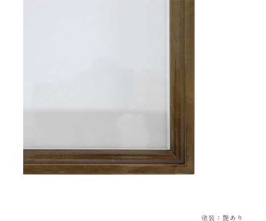 Amazon.co.jp: ティーウッド ほお材 N型 ドイツ箱 標本箱 艶有 UV